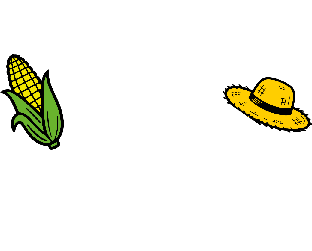 Arraiá da FAJ